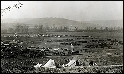 Three machine gun battalions of the 2d Div. Between Apremont and the main road to Fleville, Ardennes, France.