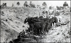 Headquaters Co. 15th Field Artillery - Champagne Drive Oct. 11 - 18, 1918.