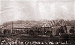 2nd Engineers building Stable at Niederbieber for 2nd Ammunition Train January 6, 1919.