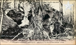 CHATEAU-THIERRY - BELLEAU - American trenches in Bois Belleau (1918)