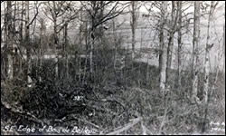 S.E. Edge of Bois de Belleau with Bouresches in background.