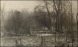 German photo of barb wire in the Chateau Thierry Sector.