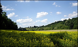 Ravine between Vauxcastille and Vierzy